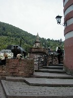 nCfxN Heidelberg