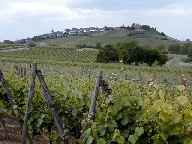 Zellenberg