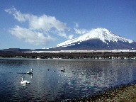 xmRƎR΁@Mt.fuji and Lake Yamanaka