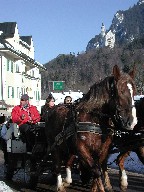 mCVoV^C@Schloss Neuschwanstein