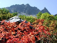 ̍gt Karasawa and Red leaves