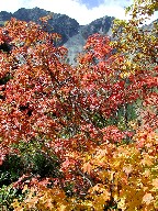 䍂xƍgt@Oku-Hotaka and Red Leaves