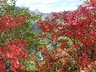 xƍgt@Oku-Hotaka and Red Leaves