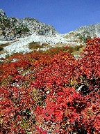 xƍgt Karasawa-dake and Red leaves