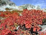 xƍgt Karasawa-dake and Red leaves
