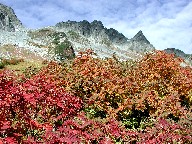 xƍgt Karasawa-dake and Red leaves