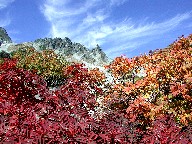 xƍgt Karasawa-dake and Red leaves