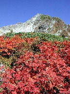 k䍂xƍgt Kita-Hotaka and Red leaves