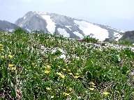 xƉԁ@Hakuba-Yari and flowers