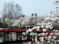 {̍ Matsumoto Castle Moat