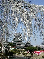 { Matsumoto Castle