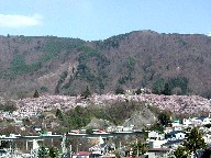 隬 Takato castle park