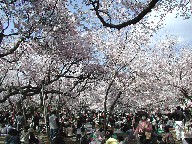 隬@Takato castle park