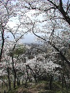 R@Hikaru-jo-yama