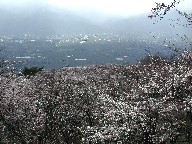 R@Hikaru-jo-yama