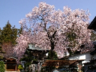 j Chokei-ji temple