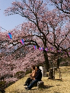 t隬 Kasuga park