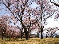 t隬 Kasuga park