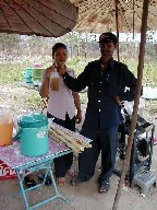 уW[X Sugarcane