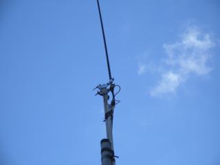 2004-11-17 14:36:15