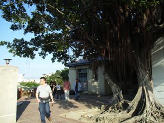 2005-05-01 17:56:04