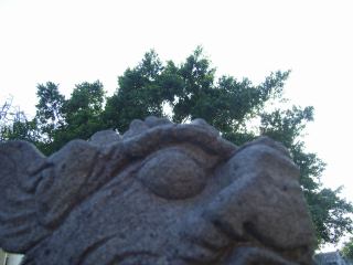 2005-05-01 18:06:29