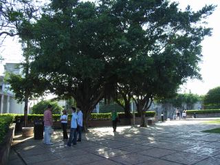 2005-05-01 18:07:25