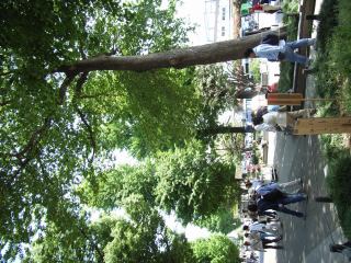 2005-05-04 10:21:31