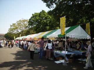 2005-05-04 10:48:35