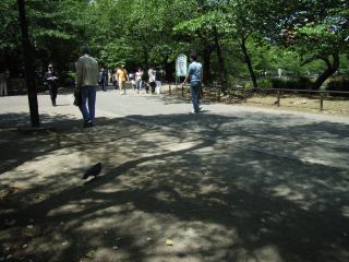 2005-05-04 11:09:12
