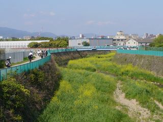 �痢��