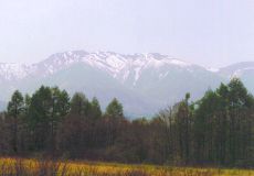 ��ӎR