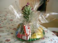 �t���[�c�o�X�P�b�g