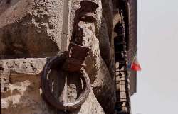 ���f�B�`�{