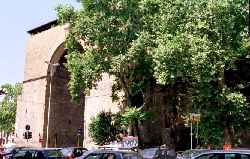 �����c���ǂƖ�