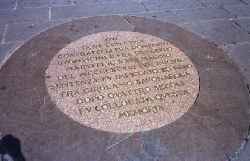 �T���H�i���[���ΌY��