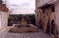 ���F�m�[�T�̊X����