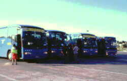 Maglie�̃^�[�~�i��