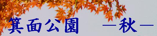 ���ʌ����@�|�H�|