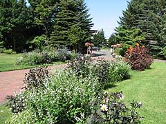 モエレ沼公園