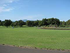 モエレ沼公園