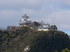 Pa040126004oo.jpg