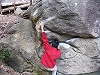 Pa040208034oo.jpg