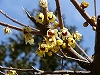 Pa040213007oo.jpg