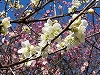 Pa040223068oo.jpg
