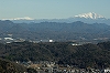 Pe040109013soo.jpg