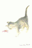 A cat with a crab
