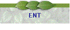 ENT