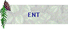 ENT