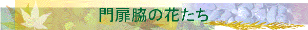 ẻԂ